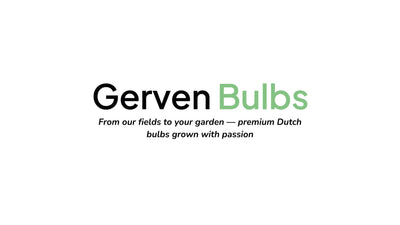 Gerven Bollen