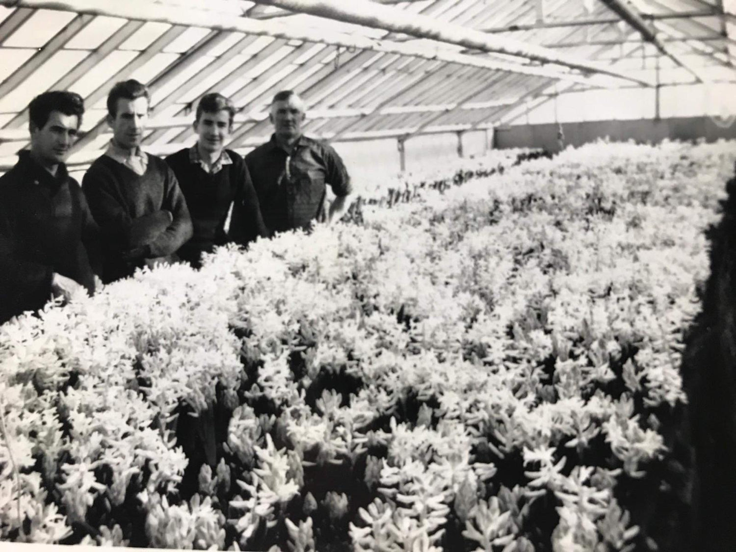 Green House with family