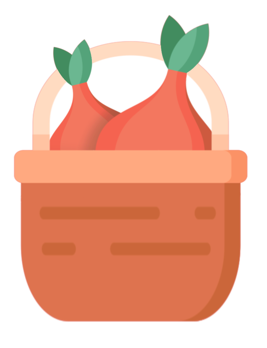 Flower bulb basket